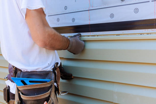 Best Custom Siding Design  in Mcgaheysville, VA